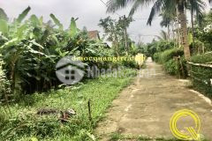 Bán đất kiệt quốc lộ 1a triệu giang, triệu phong