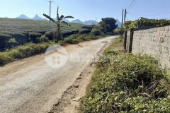 Cơ hội vàng cho các nhà đầu tư sở hữu lô đất tt nt mộc châu giá siêu rẻ