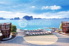 Phương đông vân đồn ra hàng lk25, lk26