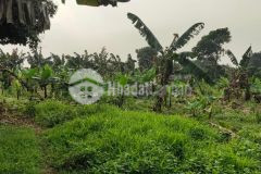 Chính chủ cần bán lô đất đẹp