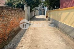 Cần bán nhanh 215m mảnh đầu tư hợp lý nhất đa tốn, gia lâm, hà nội.