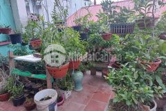 Hot hơn mùa hè nhà mới tựu liệt, 35m, 5 tầng, xe ba gác phóng tít mù, 3,25 tỷ