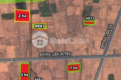 Các lô đẹp giá siêu nhỏ lợi nhuận cao