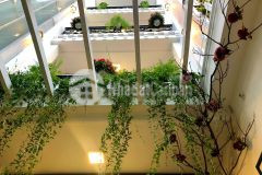 Nhà bán hẻm xe hơi lạc long quân, quận 11, 60m2, giá rẻ