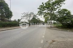 Bán gấp 292m2 đất lô góc mặt đường cổ linh 16 tỷ