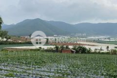 Chính chủ muốn bán lô đất hơn 500m2 ngay xã ka đơn. đơn dương lâm đồng