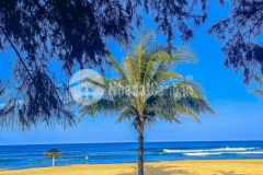 Bán đất nền ven biển quy nhơn giá rẻ nhất thị trường