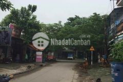 Bán gấp 3 lô 519m tại thuận an bd, tặng 2 căn nhà và 2 kios, shr, 12 tỷ. lh0398359583