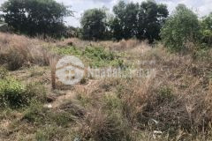 Đường nhựa tân nghĩa hàm tân 41x49 7,250 tỷ