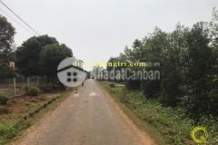 Đất đầu tư mặt tiền đường nhựa lớn, gần trường học, tiện ích đầy đủ tại hiền thành vĩnh linh.