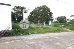 Đầu tư tiềm năng nhất tháng 42022 cùng mảnh đất hơn 300m2 nằm tại vân đồn.