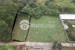 Bán 385m2 full thổ cư tại lương sơn hoà bình, sổ đỏ, 2 tỷ. lh0966628114.