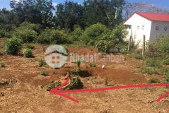 Bán lô đất siêu dài ta ra xã hòa đông.