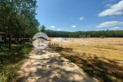 Bán lô đất 1069m2 giá 290 triệu sổ sẳn