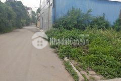 Chính chủ tôi bán đất tại đầu xã kiêu kỵ gia lâm, hn.