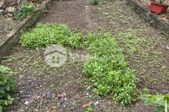 Bán gấp đất tại phường thạch bàn, quận long biên, 30m ra ôtô.