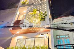 Nhà phố đường xh xe hơi thông, dt 4x15 p9 gò vấp