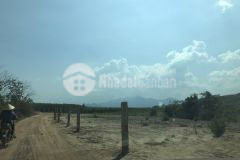 Tân hà hàm tân 2,4 sào 1 tỷ đường bao quanh