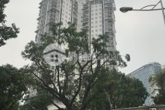 Bán nhà phố hoàng quốc việt, cầu giấy, 50m,4t, kinh doanh, 8 tỷ, 0904656981