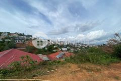 Ra đi nền đất biệt lập 203.8m2 cực chill giữa tán thông già