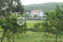 Bán gấp 4000m2 trong đó có 400m2 thổ cư còn lại là cln, dành cho nđt thích view