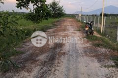 Bán đất tây ninh nhìn về núi bà đen 500trhơn 1000m2