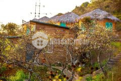 Bán mảnh đất có diện tích 887m2, có 200m thổ cư ở ttnt nằm ờ trục phố đi bộ