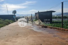 Bán 573m2210m thổ cưgiá 2.255 tỷ. sổ riêng. đất thuộc tp đà lạt mở rộng tại đạ ròn. đơn dương.