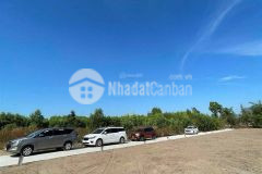 Đất nền huyện đất đỏ giá rẻ, đầu tư lợi nhuận khủng cọc ngay