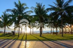 Chủ vỡ nợ cần bán gấp đất 85m2, mảnh đất cực đẹp sơn trà, 2tỷ65, 0935006396