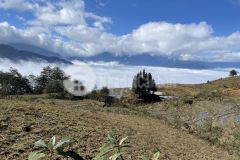 Đất nền y tý, view săn mây vip nhất khu vực. gía thì chỉ từ 1 triệu m2