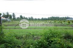 1200m2 đất thổ có 2 mặt tiền tại ấp mỹ lương, xã mỹ phong, tp mỹ tho