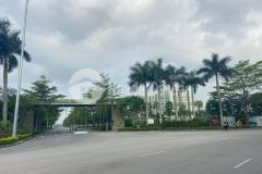 Bán đất, thạch bàn 38trm ô tô đỗ cửa 155m2, mt 18m, 5.9 tỷ