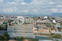 Bán đât nông nghiệp gia re đường lê văn tám p10 tp đà lạt giá chỉ 2.2 tỷ.