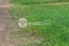 Bán đất hxt xã phước thạnh, gò dầu tây ninh. dt 1400m2, chỉ 4ty 600 triệu