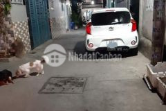 Cần bán gấp siêu phẩm nhà mới nguyễn oanh,p17,gò vấp,66m2 chỉ 4.65 tỷ.