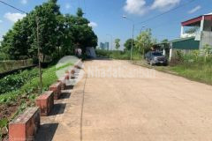 Mặt trục chính khu tái định cư ngọc động, đa tốn, gia lâm, hà nội. thông thẳng vào dự án vin safari.