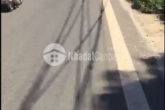 D1152 cần bán gấp lô đất hem ô tô lơn xa mê linh huyên lâm ha