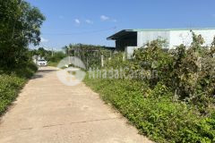 Bán đất diên bình cách cao bá quát chỉ 900m