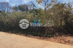 Đất măng line phường 7 tp.đà lạt