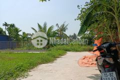 Chính chủ gửi bán lô đất đức hậu, hợp đức,đồ sơn, hải phòng 61m