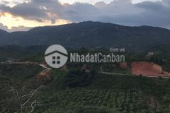 Chính chủ bán lô đất tựa sơn hướng thủy, đối diện kdl hồ lộc nam.