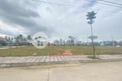 Bán đất chính chủ tại bình sơn quảng ngãi