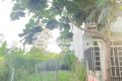 Bán nền mặt tiền đường số 48 khu dân cư 586 giá dưới 2.5 tỷ