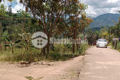 Đất 569m2 thổ cư cạnh kdl yangbay khánh vĩnh chỉ 1,2tỷ