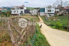 Lô gần 700m2 đất tại nông trường mộc châu thích hợp kinh doanh mọi loại hình