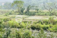 4430m2 trong đó có 400m2 thổ cư cần bán gấp, phù hợp làm nghỉ dưỡng cho gia đình