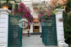 Cho thuê lô đất 2.000m2 mặt tiền phan chu trinh. p.2