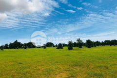 Bán 8,999m2 đất vườn hoà thắng cách đt 716 1km, cách liên huyện 200m chỉ 1,44 tỷ. lh hoặc add zalo