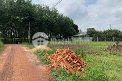 Đất chính chủ cần bán, 1000m2 mặt tiền bê tông, thông thẳng trường học, thổ cư 100